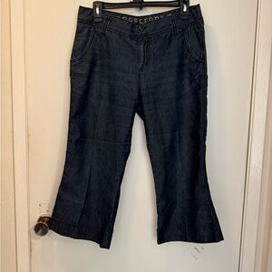 Apostrophe Dark Indigo Flare Jeans